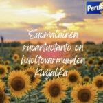Suomalainen Ruoantuotanto